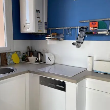 Charming Flat With Terrace On The Croisette Daire *